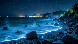 梦幻荧光海岸星空夜景