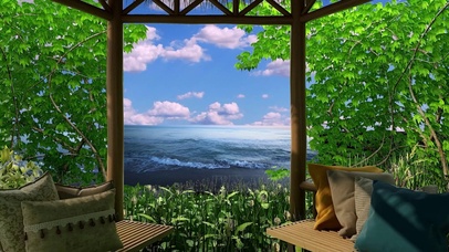 放松的海鸥和海浪声