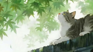 树下猫咪带鱼屏