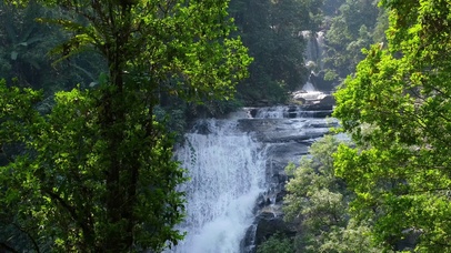 4K绿色护眼森林瀑布