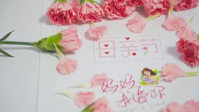 4K母亲节鲜花康乃馨节日