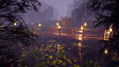 雨夜荷塘