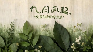 九月风起——