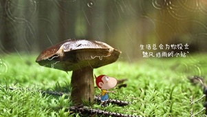 生活总会为你设立遮风挡雨的小站