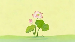 小清新荷花