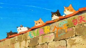 猫咪