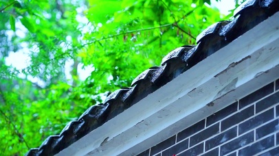 下雨天植物屋檐