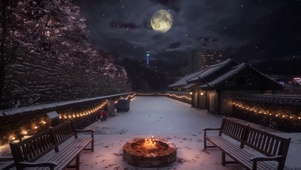 安静的雪夜