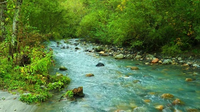 4k溪流鹅卵石绿树鸟鸣