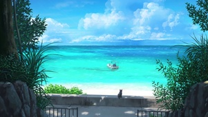 海边猫咪