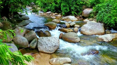 4K夏日治愈小河流水