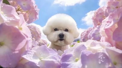 萌宠狗带鱼屏
