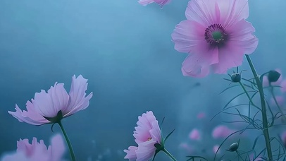 护眼花朵带鱼屏