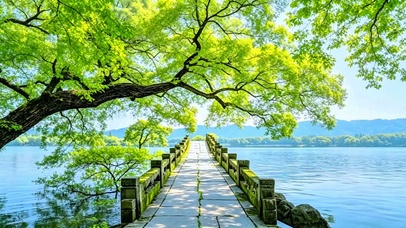 治愈湖光树影4K