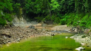 山间清新溪流