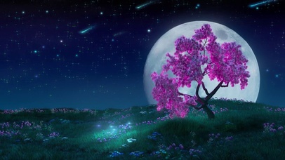 唯美星空下的樱花树