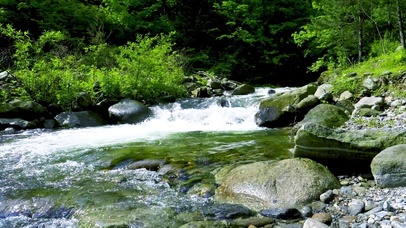 溪水流动