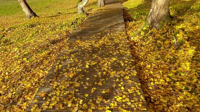 新疆静谧的秋天