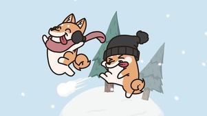 柯基雪球大战