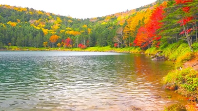 唯美红叶高山湖