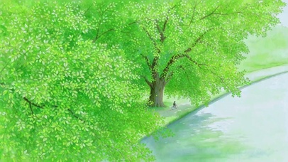 治愈森林河畔