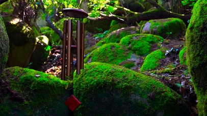 森林冥想风铃声