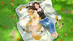 精致露营