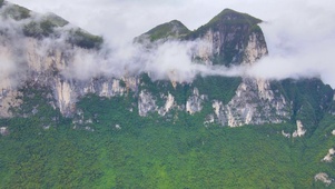 高山云雾