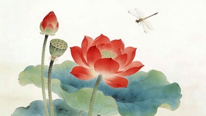 夏天蜻蜓