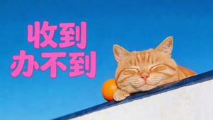 收到 办不到