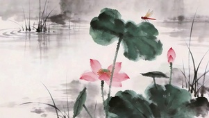 水墨荷韵