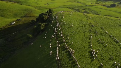 我想去听旷野的风