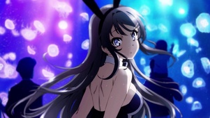 兔女郎学姐