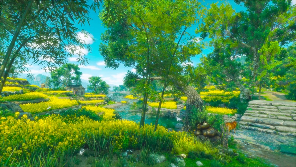 春日乡野油菜花田风景