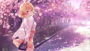 风中樱花2k