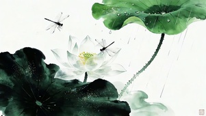 国风水墨荷花蜻蜓