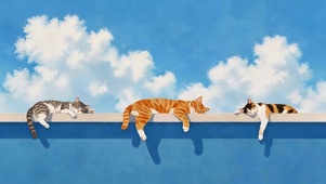 可爱三只猫咪