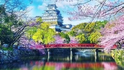 樱花公园