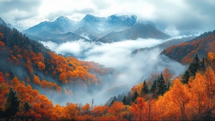 云雾枫林群峰