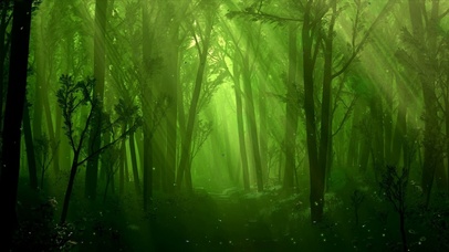 护眼阳光绿色森林