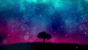 星河下的树