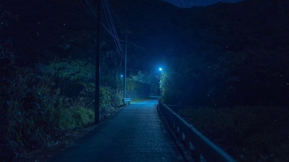 宁静乡间夜晚小路