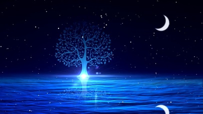 唯美湖泊星空粒子