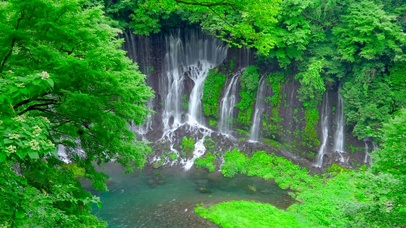 4K养眼绿林瀑布