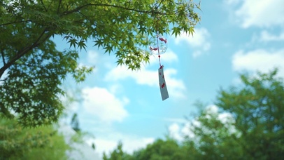 夏天树上的风铃