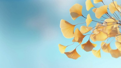 随风摇摆的银杏叶