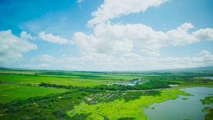 4K草原绿地航拍