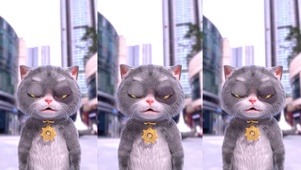 斑布猫-WAKAWAKA