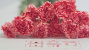 4K母亲节鲜花康乃馨节日