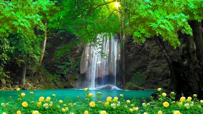 护眼小瀑布花丛